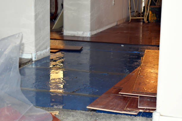 Professional Water Extraction technician working in Montrose, MI